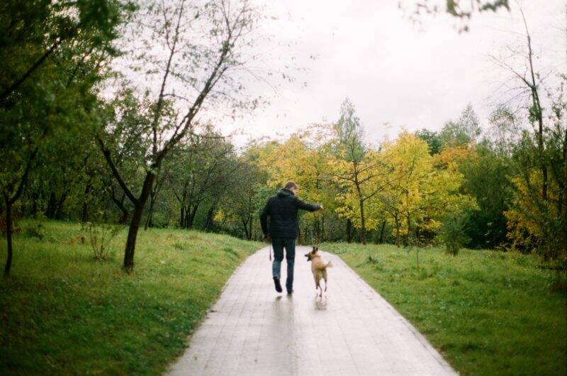 Can you walk after bunion surgery a person who asked "can you walk after bunion surgery" walks with his dog in a park